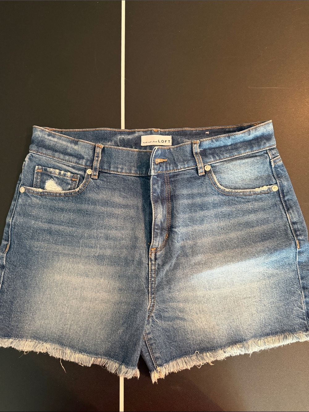 LOFT Medium Blue High-Rise Frayed Hem Denim Shorts-27/4